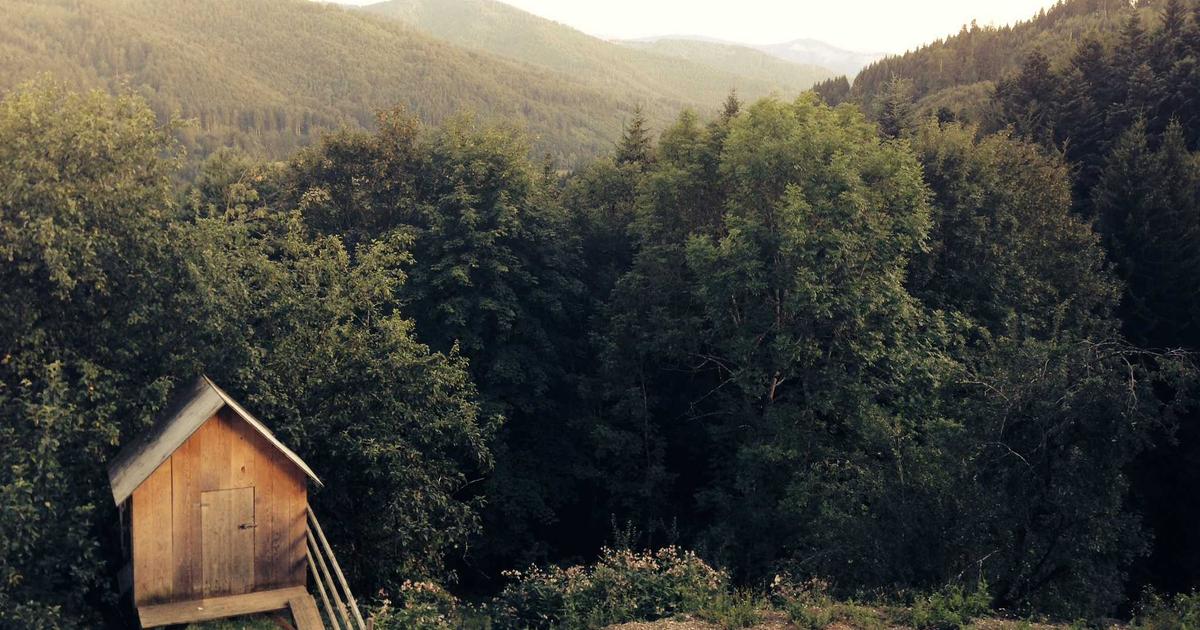 Beyond the Beach: How to Pair Maui Adventures with Local Cannabis Delivery